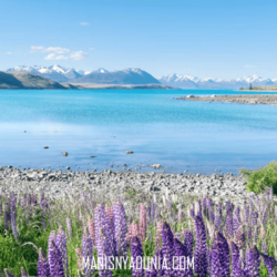 Fiordland National Park