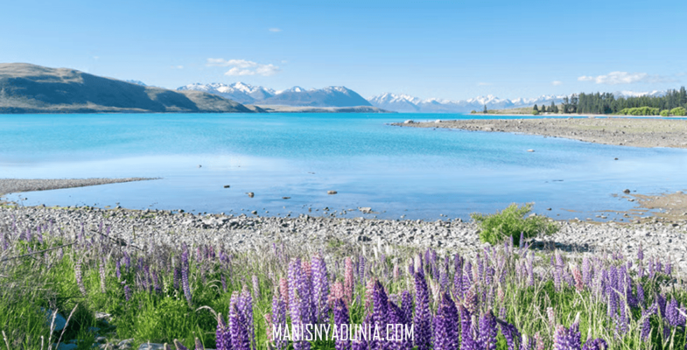 Fiordland National Park