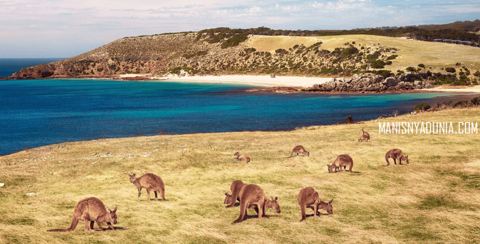 Kangaroo Island, Australia
