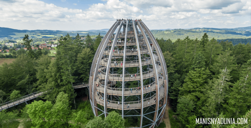 bavarian forest national park jerman