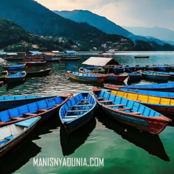 manisnyadunia