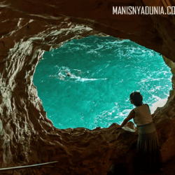 manisnyadunia