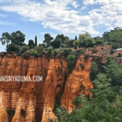 manisnyadunia