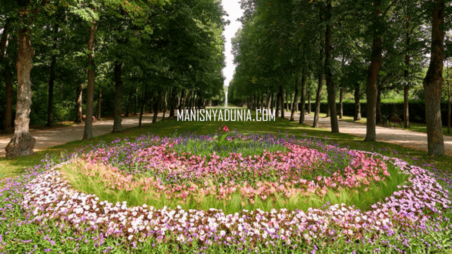 manisnyadunia