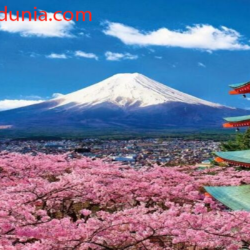 Gunung Fuji