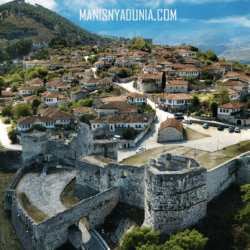 manisnyadunia