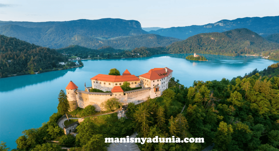manisnyadunia
