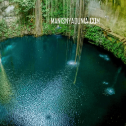 manisnyadunia