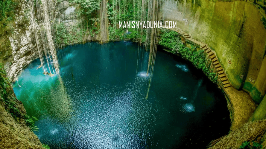 manisnyadunia