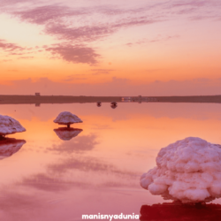 manisnyadunia