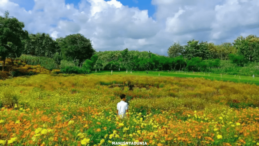 manisnyadunia