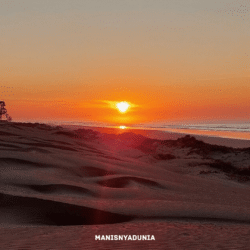 manisnyadunia