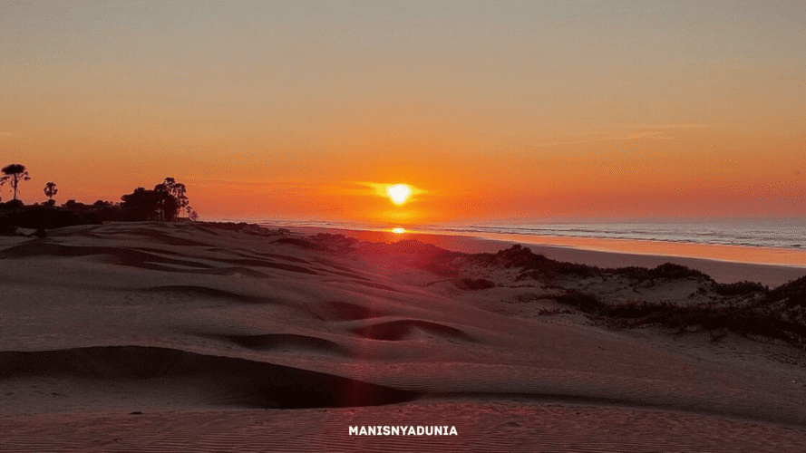manisnyadunia